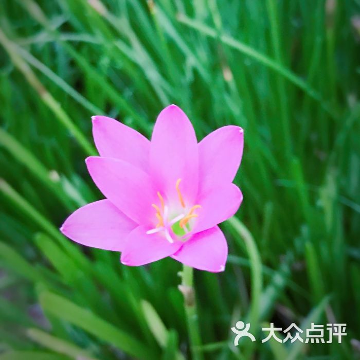 张阿姨的退休生活真精彩上传的图片