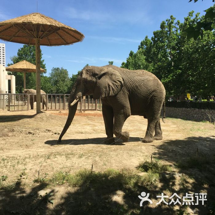 北京动物园