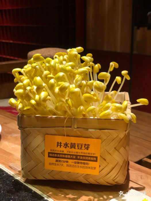 巴奴毛肚火锅(悠唐购物中心店)井水黄豆芽图片