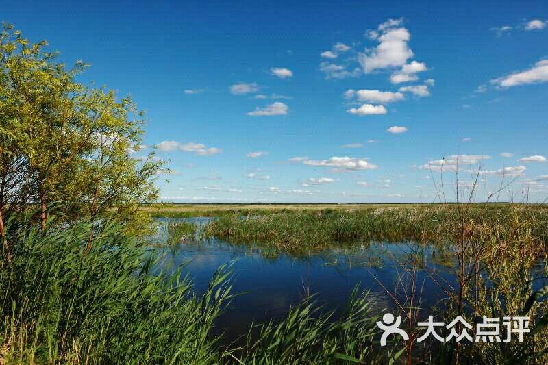 七星河湿地烤鹅-图片-宝清县美食-大众点评网