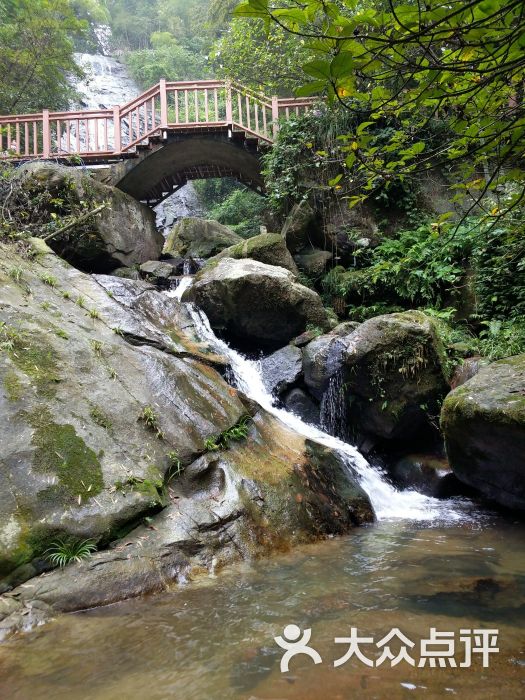 白水仙风景区-图片-遂川县周边游-大众点评网