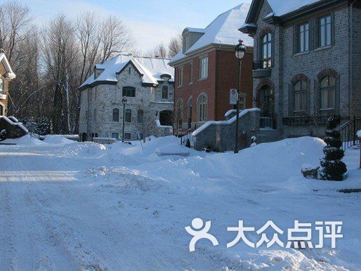 双城景观-冬天的双城街道图片-哈尔滨景点