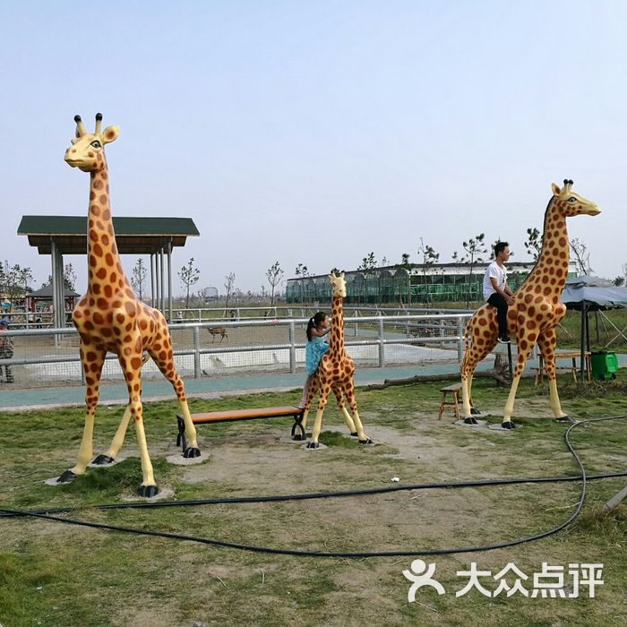 台州湾野生动物园