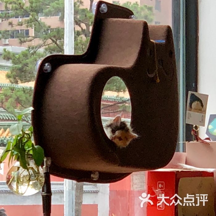 窠咖啡:今天没有在小寨店选阿芙佳朵是因.西安梦美食特殊物语客人图片