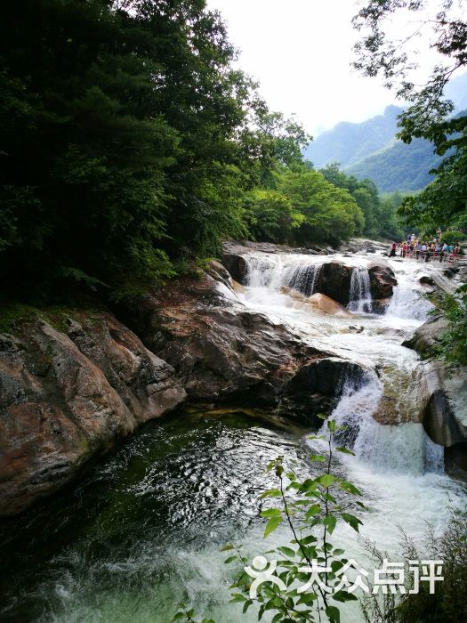 黄柏塬原生态风景区图片 - 第4张