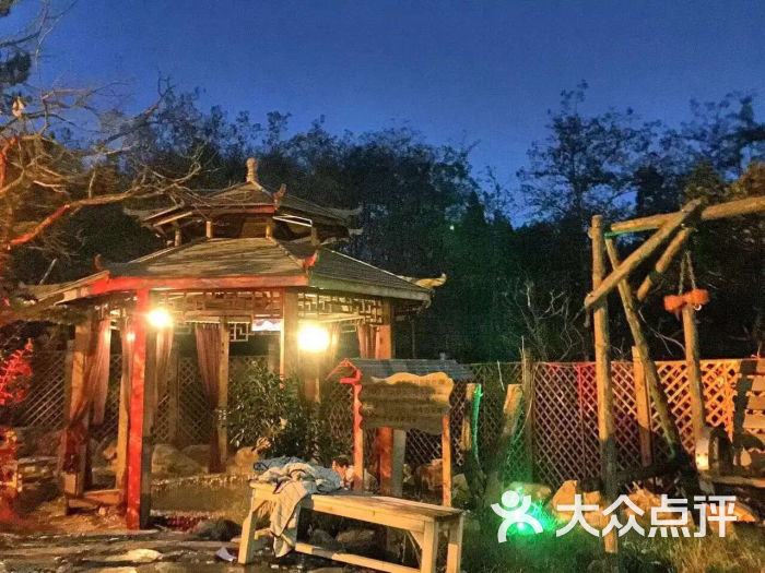 香格里汤泉宫温泉酒店图片 - 第5张