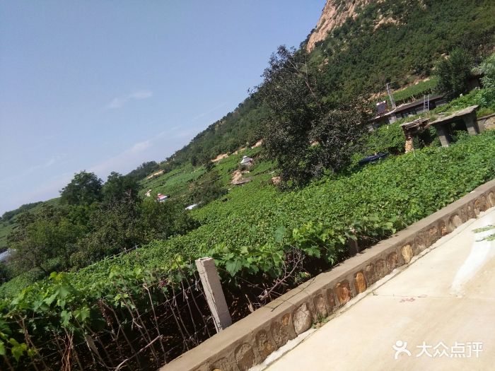 昌黎葡萄沟风景区图片 - 第62张