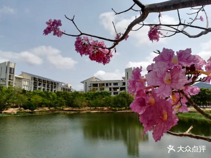 海南热带海洋学院图片