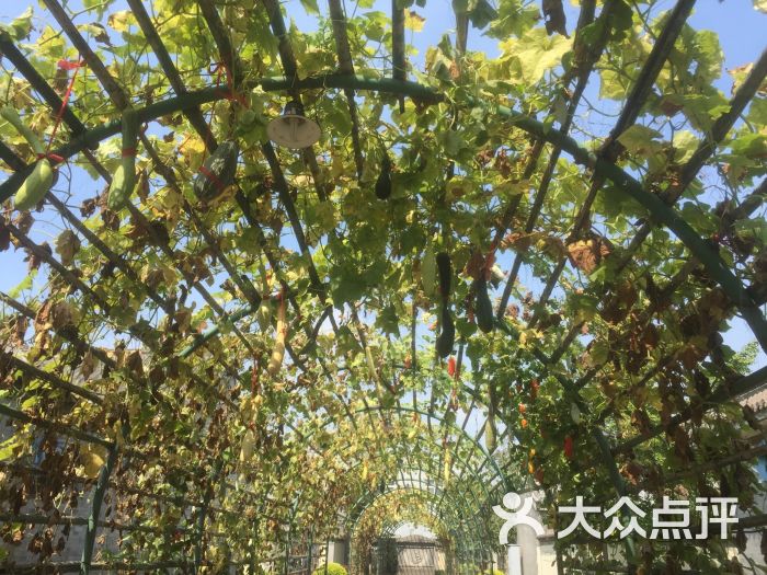 万源龙顺度假庄园采摘园图片 - 第1张
