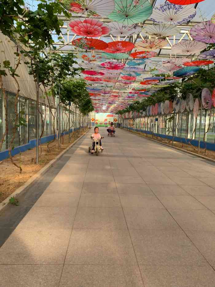 四季亲子乐园-"地址位于青岛市城阳区夏庄街道王家曹.