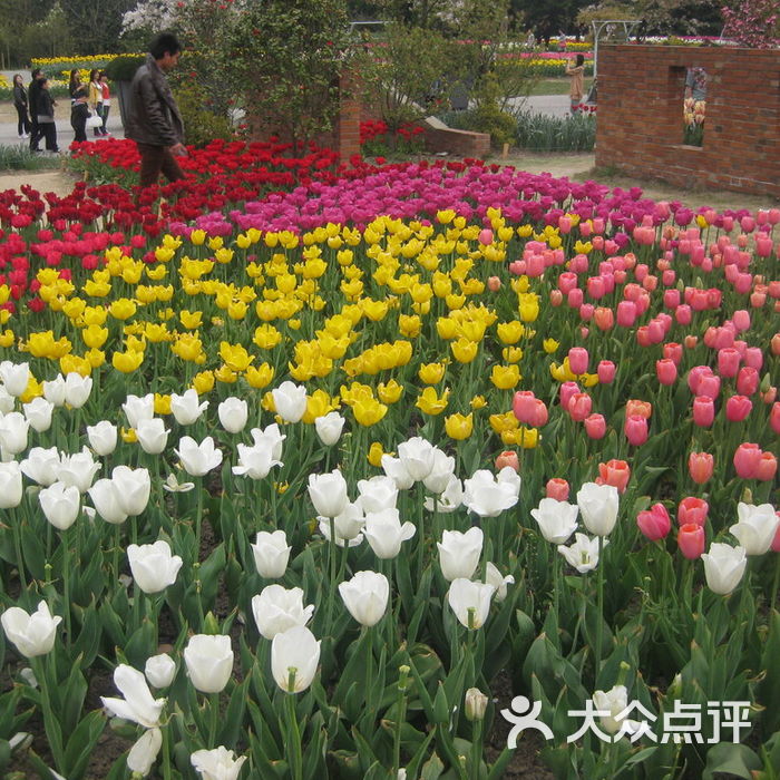 上海植物园