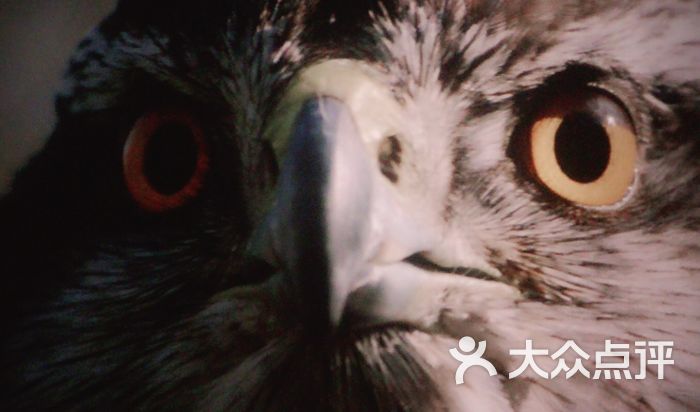 承德时代国际电影院-图片-承德电影-大众点评网