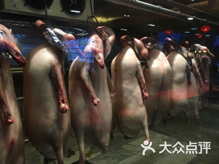 鹅公村(芳村店)-图片