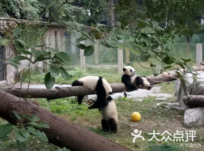 重庆动物园图片 - 第3张