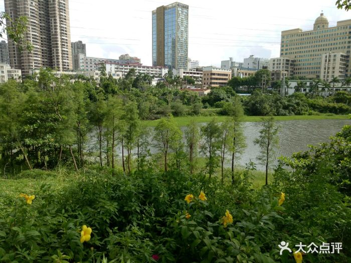 绿塘河国家城市湿地公园-图片-湛江周边游-大众点评网