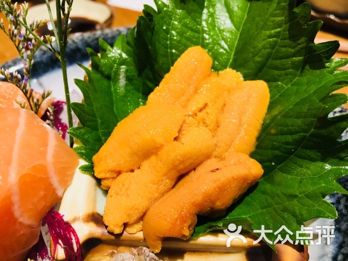 海胆刺身