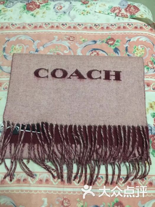 coach(佛罗伦萨小镇店)-图片-天津购物-大众点评网