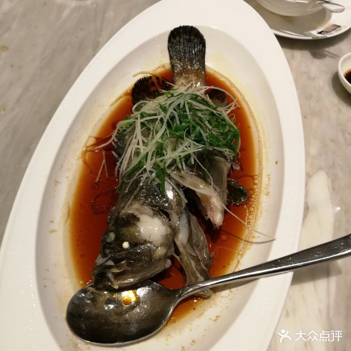 清蒸深海龙趸鱼
