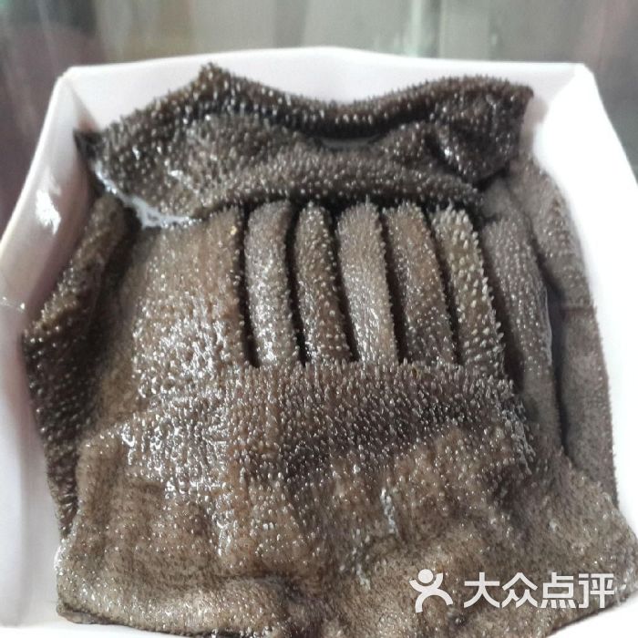鲜毛肚