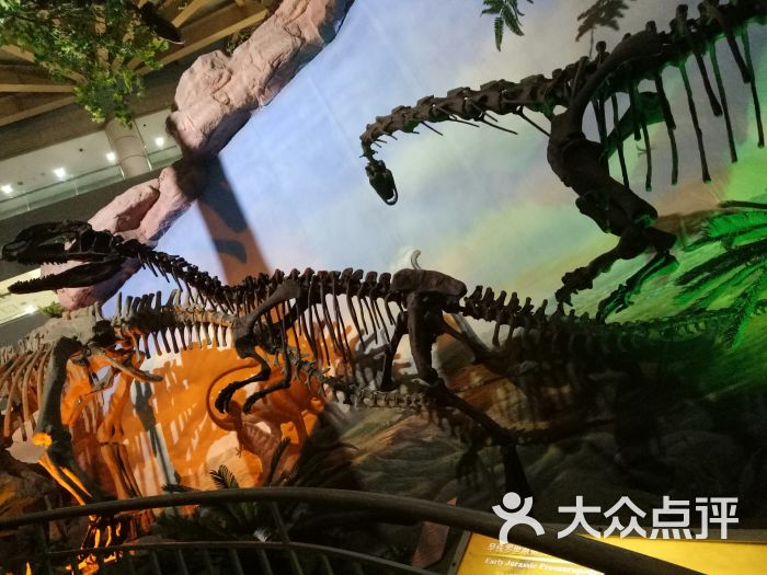 河南省地质博物馆-图片-郑州周边游-大众点评网