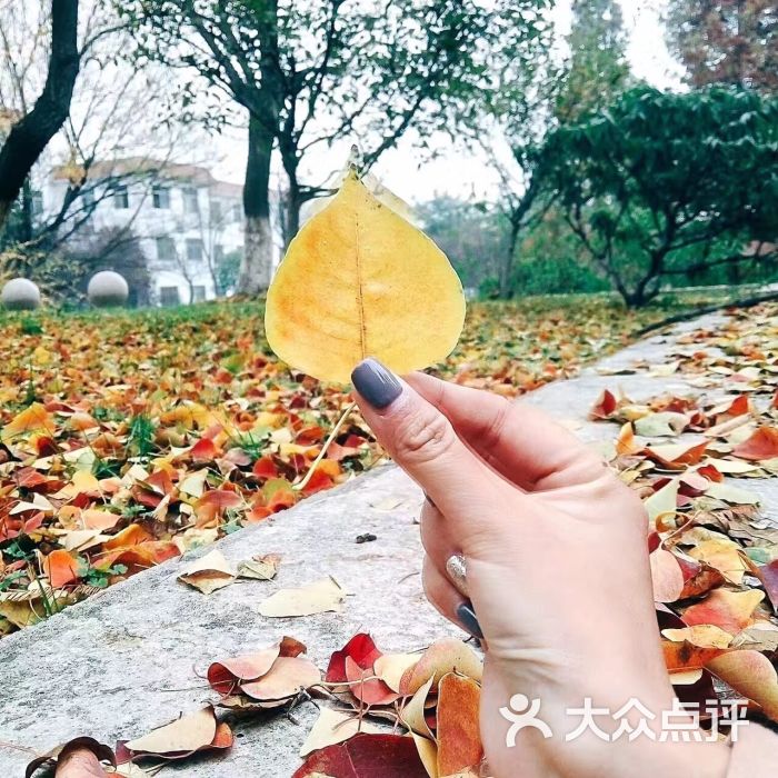 江苏师范大学泉山校区图片 第4张
