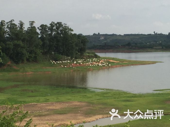 黑龙滩长岛天堂洲际酒店-图片-仁寿县酒店-大众点评网