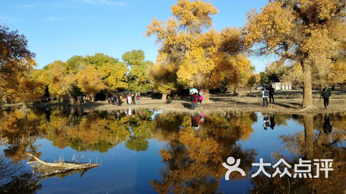 二道桥景区-景点-环境-景点图片-额济纳旗购物-大众点评网