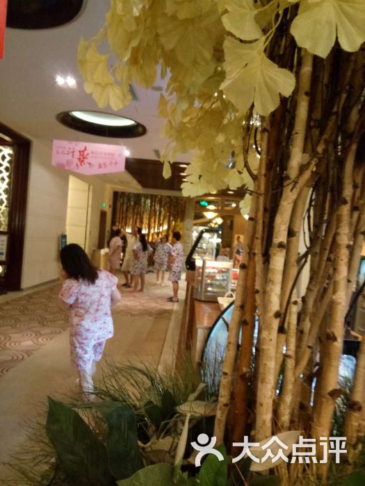 水之梦(黄浦路店)-图片-武汉休闲娱乐-大众点评网