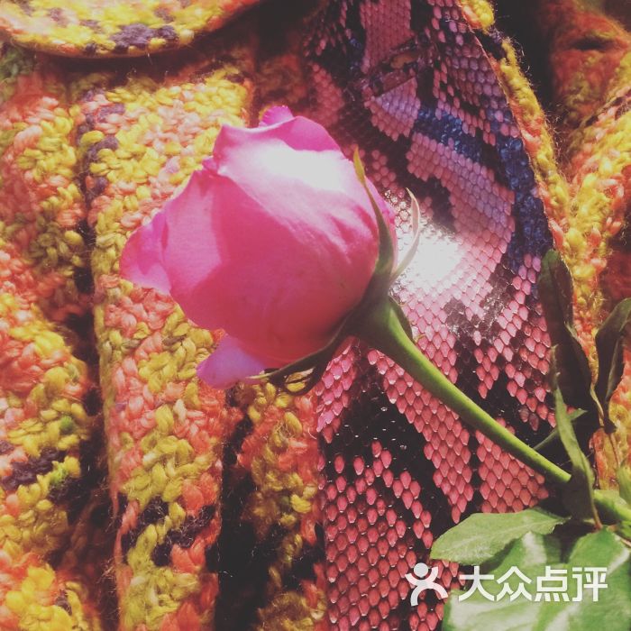 品聚书吧(恒隆广场店)-图片-济南购物