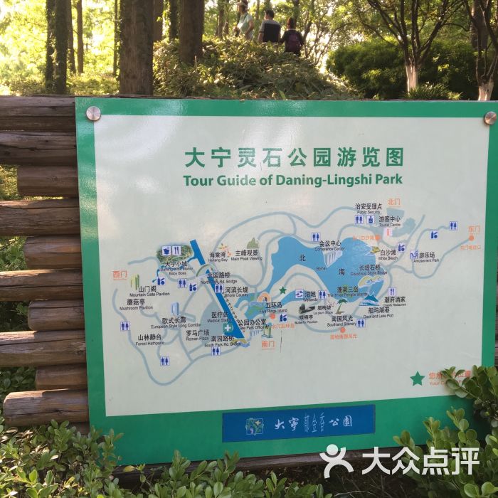 大宁郁金香公园游览图图片 - 第681张