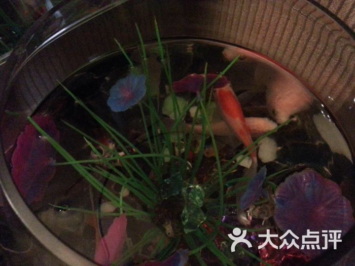 官网珠海金海大桥_大连万宝海鲜舫老板_金海明珠海鲜舫
