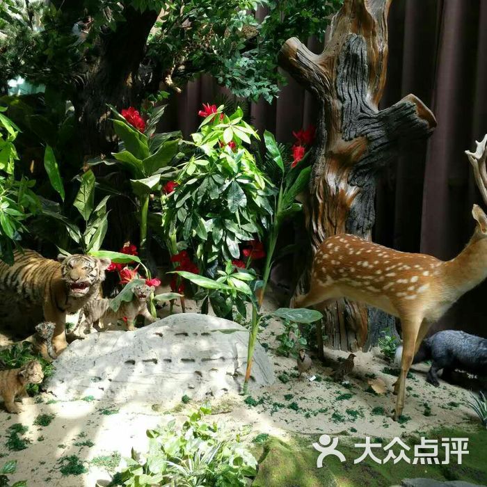 爱保野生动物世界图片-北京动物园-大众点评网
