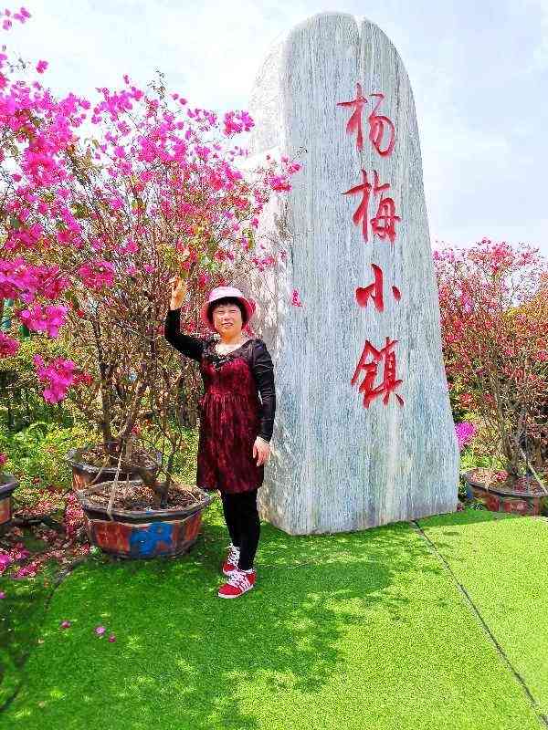 那肯定是杨梅小镇了可以荡秋千赏花放风筝还有熊大熊二很不错哦