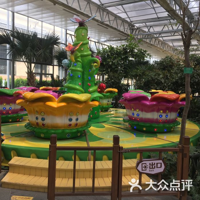 南宫五洲植物乐园