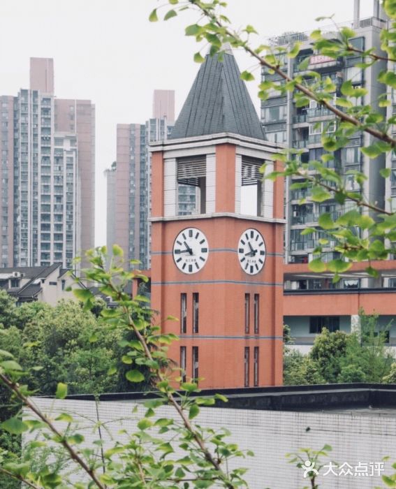 星光学校-图片-重庆学习培训-大众点评网
