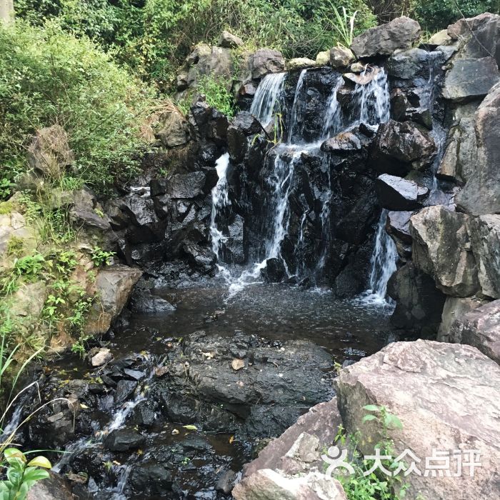 桃花源生态旅游区-图片-上虞区周边游-大众点评网