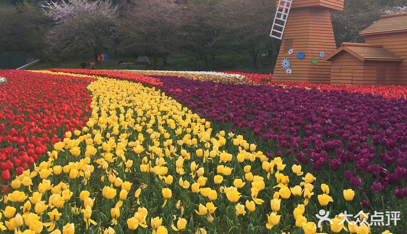 苏州上方山百花节