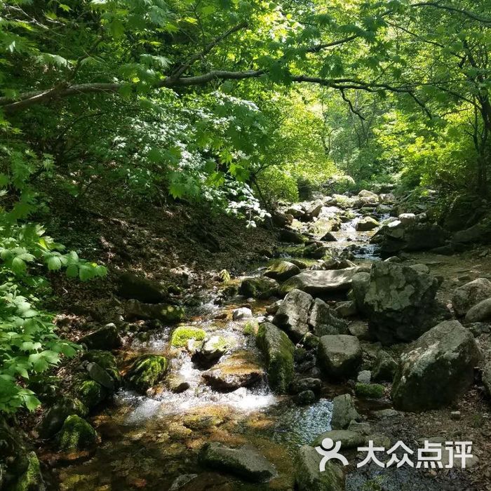 本溪汤沟绿石谷国家森林公园
