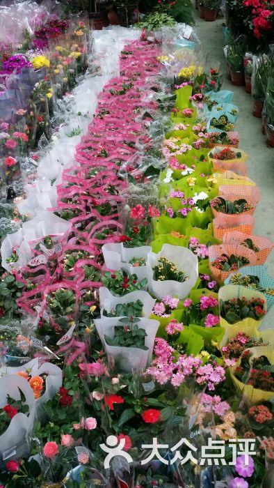 金三角花卉市场-图片-大连购物-大众点评网