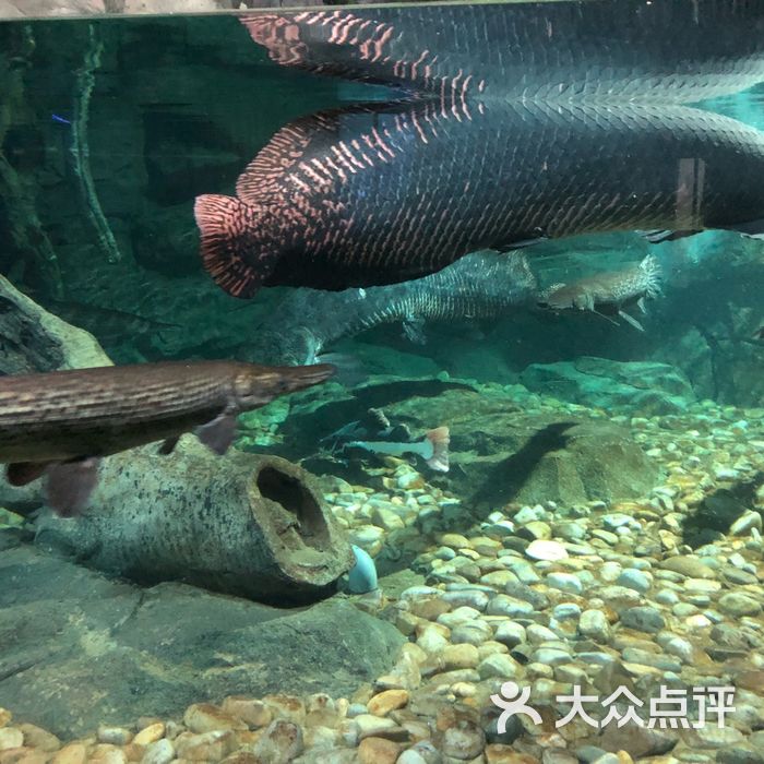 蠡湖中央公园海底世界
