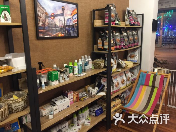 尼莫宠物馆-图片-上海宠物