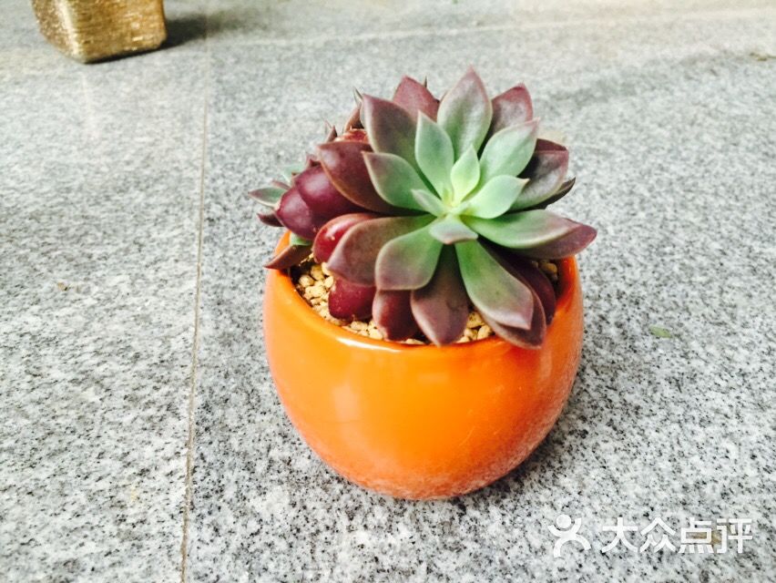 Meeting Flowers 遇见花艺(新乐路)-图片-成都购