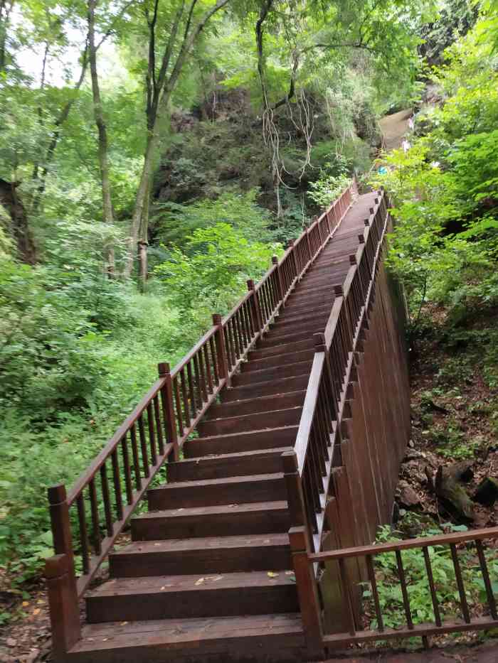 天女山森林公园-"天女山风景区位于抚顺县马圈子乡村