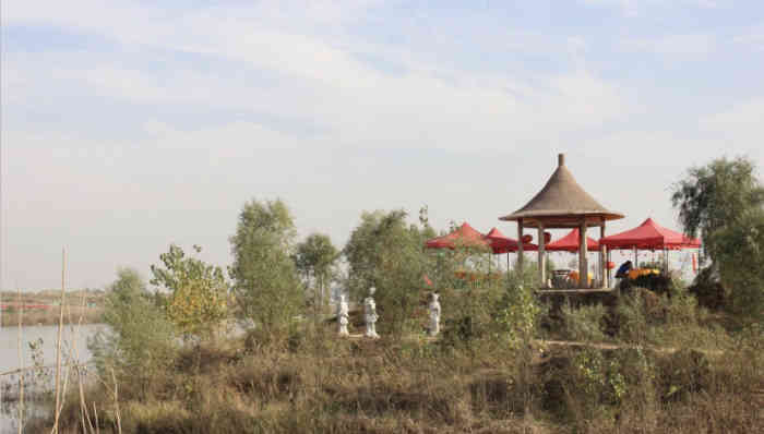 雁鸣湖景区-"郑州中牟雁鸣湖:捡菖蒲,采芦苇,最惊喜的