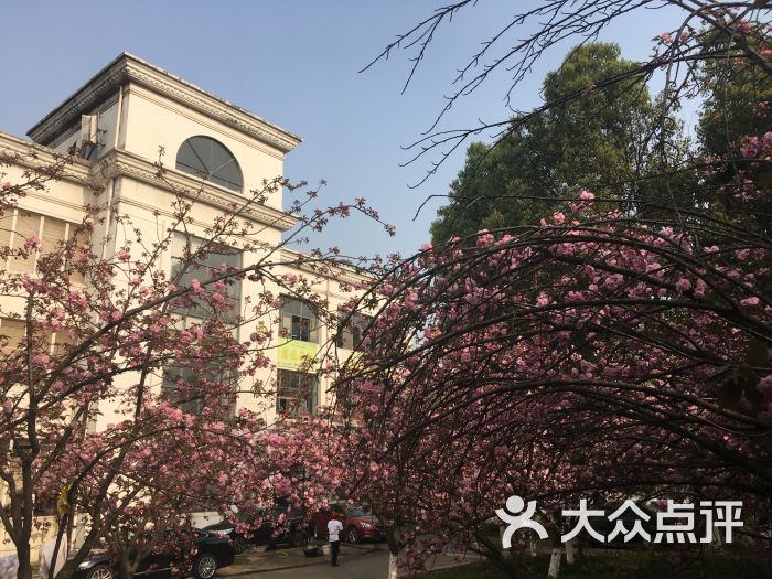 南京工业大学(江浦校区)图片 - 第20张