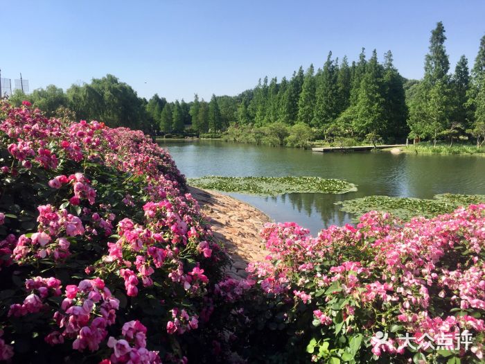 上海辰山植物园图片