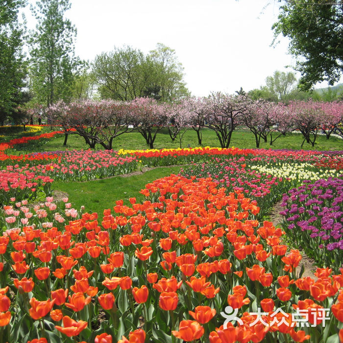 北京植物园