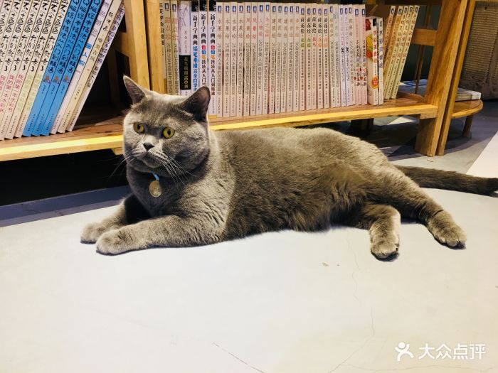 小时光猫语时光咖啡书吧(财富购物中心店)图片 - 第247张