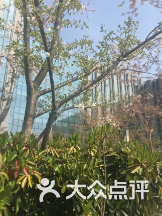 仙林商务办公中心