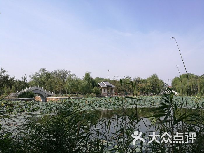 长虹生态园图片 - 第7张